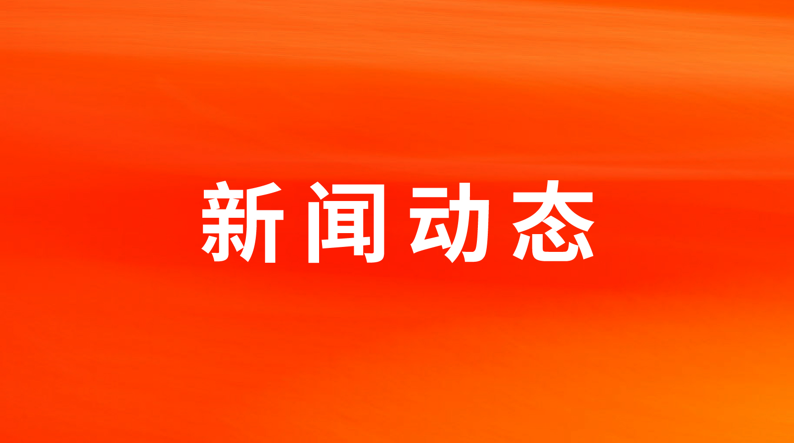 paѶʳٻ2023лʳϲķʳСƷ
